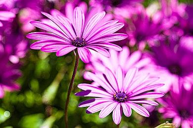 第三人称视角动作冒险新游《Grey Lines》即将众筹 