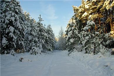 高能电玩节：国产游戏《职场浮生记》最新宣传片